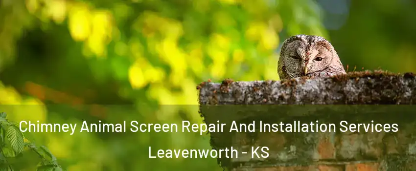  Chimney Animal Screen Repair And Installation Services Leavenworth - KS