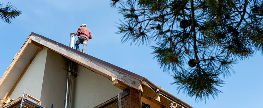 Birds Removal Contractors from Chimney in Leavenworth, KS