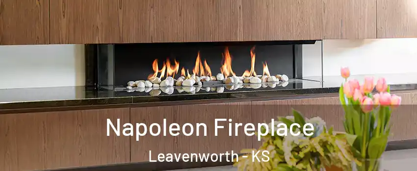  Napoleon Fireplace Leavenworth - KS